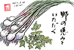 野の恵みをいただく〜ノビル〜