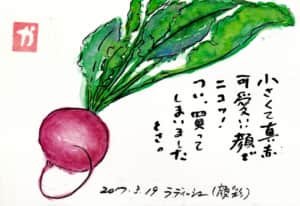 小さくて真っ赤 可愛い顔でニコッ！つい買ってしまいましたとさ。〜ラディッシュ〜