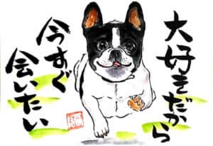 ボストンテリア、フレンチブルドッグ犬の絵手紙