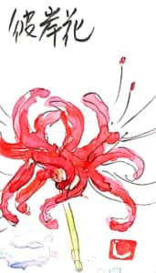 燃えるような彼岸花