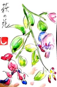 秋の七草 萩の花