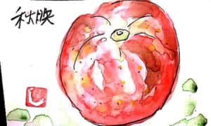 甘いりんご～秋映～