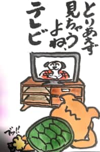 とりあえず見ちゃうよね、テレビ