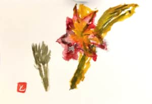 赤や黄色、温かい色の花