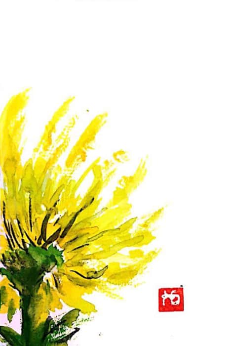 黄色のスプレー菊