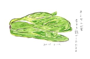 チンゲンサイで一句