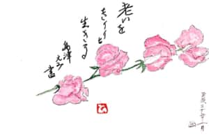 老いをきりりと生きる ピンクのスイートピー