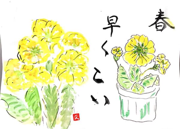 春、はやくこい　〜黄色いプリムラジュリアン〜