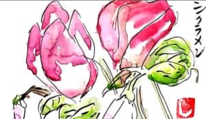 お花をいっぱい描いた日〜シクラメン〜