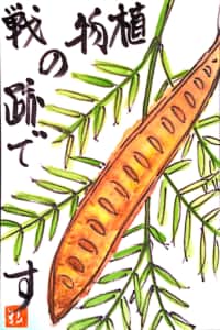 植物の戦跡で 〜ギンネムの実〜