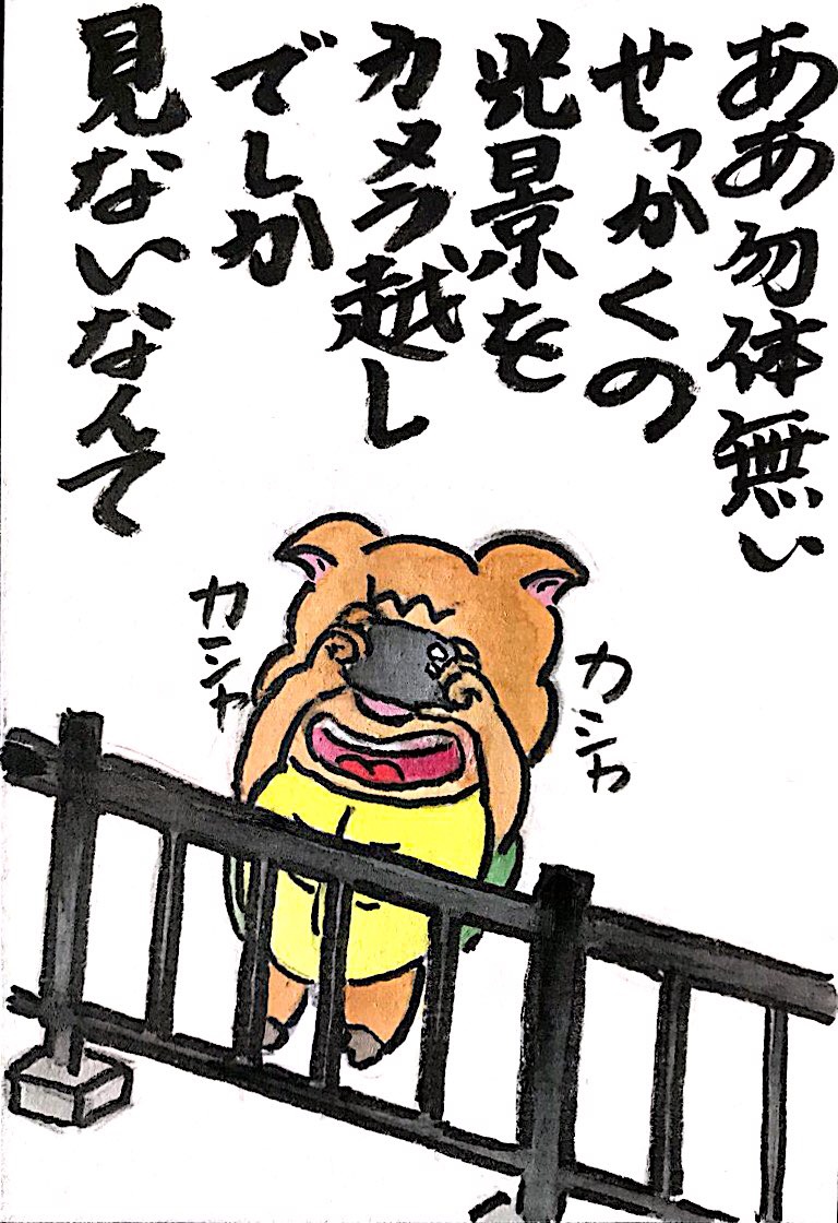 ああ勿体無い せっかくの絶景をカメラ越しでしか見ないなんて