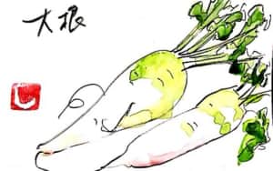 いただき物の大根