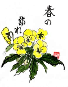 春の訪れ 黄色いパンジーの花