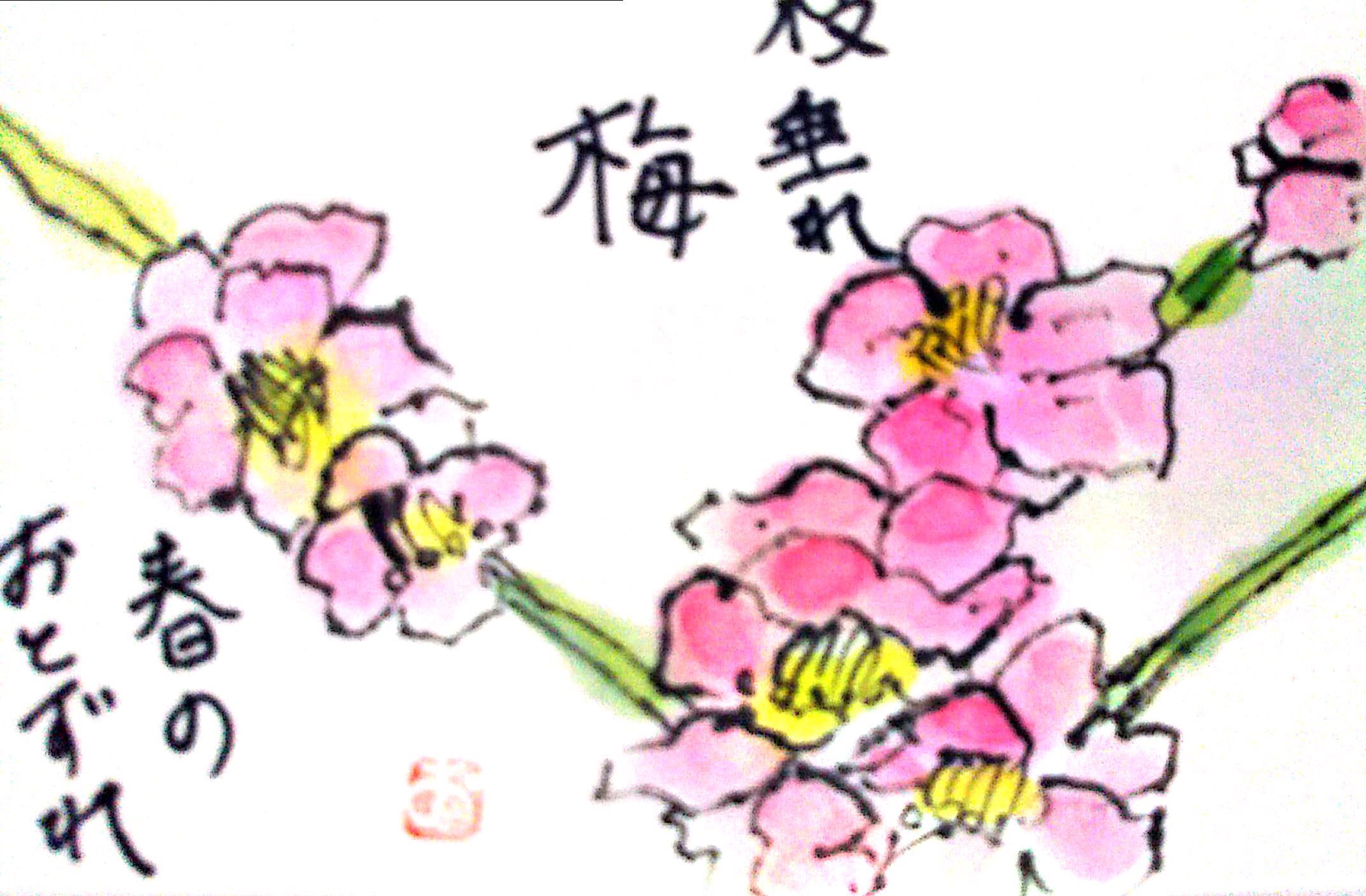 しだれ梅の花