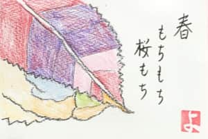 春 もちもち桜もち