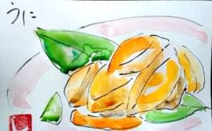 新鮮で美味しそうな、うに