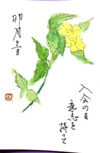 卯月十二日 入会の日 意志を持って 〜黄色山吹の花〜