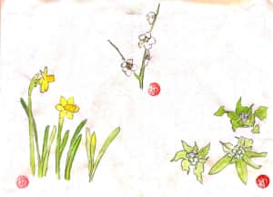 黄水仙と梅の花とふきのとう、春の御三家