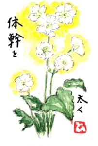 体幹を太く　〜ジャスミンの花〜