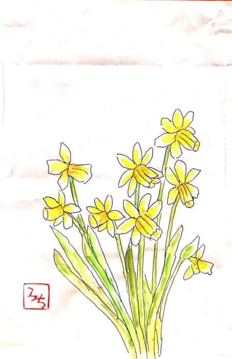 黄色い水仙の花の絵手紙