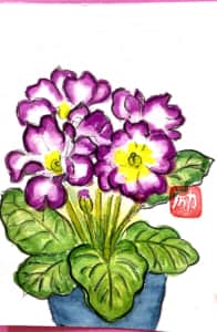 紫のプリムラジュリアンの花