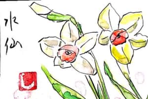 白と黄色の水仙の花