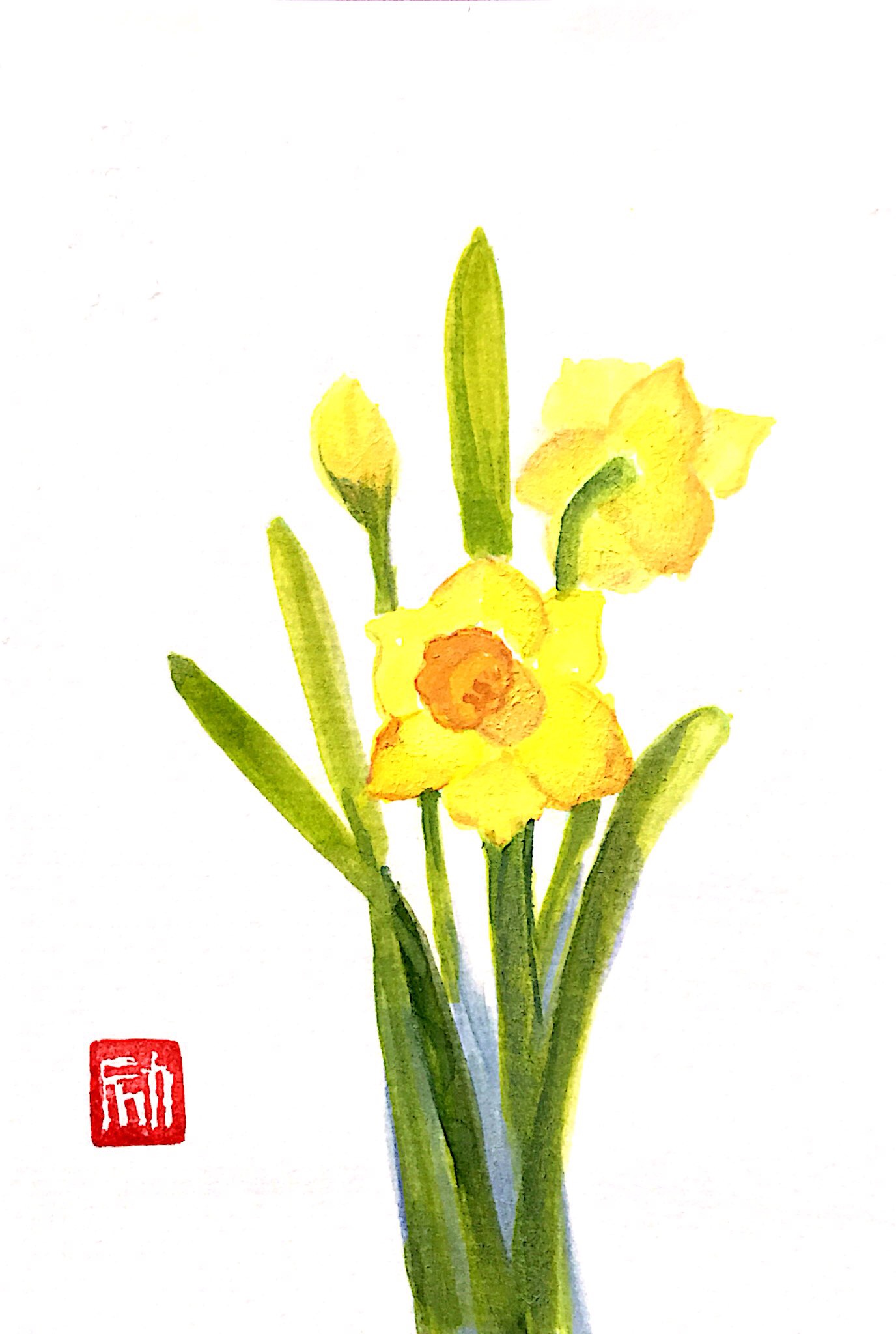 黄色の水仙の花