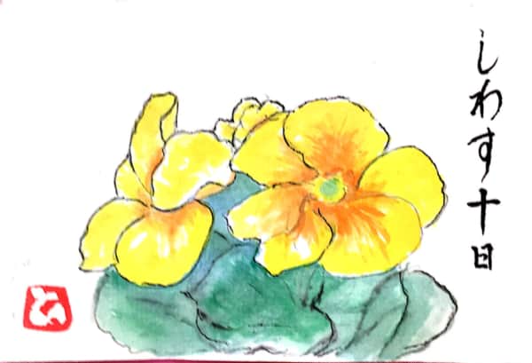 黄色いパンジーの花