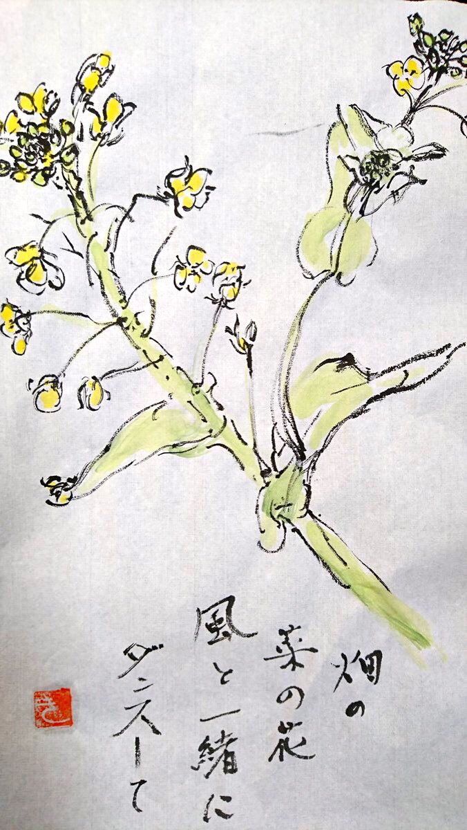 畑の菜の花 風と一緒にダンスして