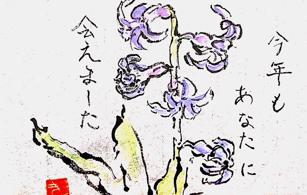 今年もあなたに会えました 紫の釣鐘水仙の花