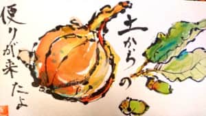 土からの便り来たよ 〜どんぐりと玉ねぎ〜