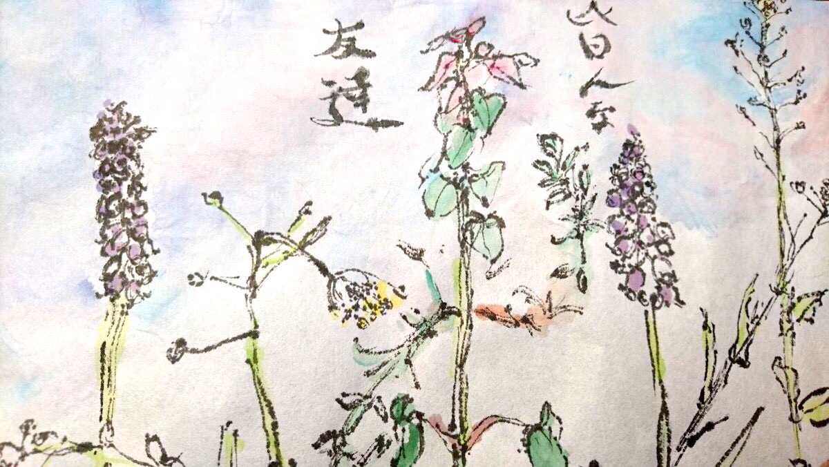 みんな友達　春の野草