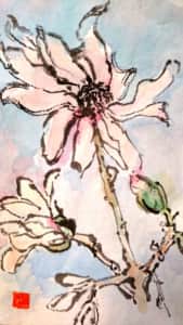 空をつかむような四手辛夷の花