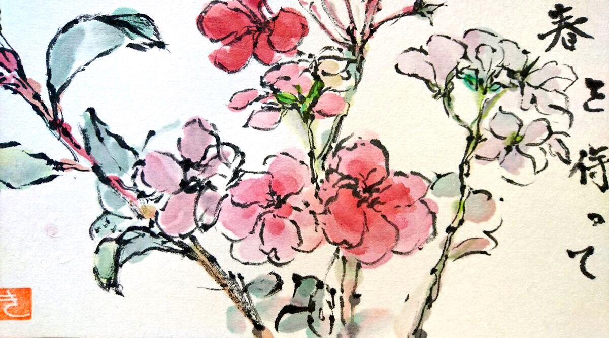 春を待つゼラニウムの花