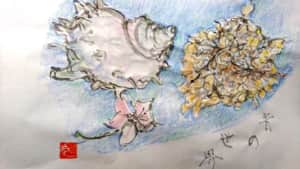 海に生きるサザエと、空に咲く林檎と紫陽花の花 どちらも青の世界