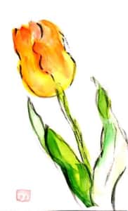 赤いチューリップの花