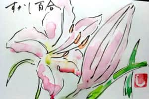 すかし百合