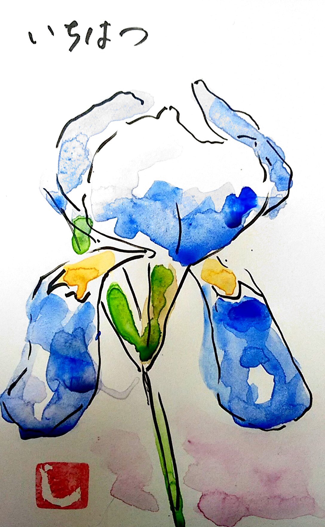 イチハツの花