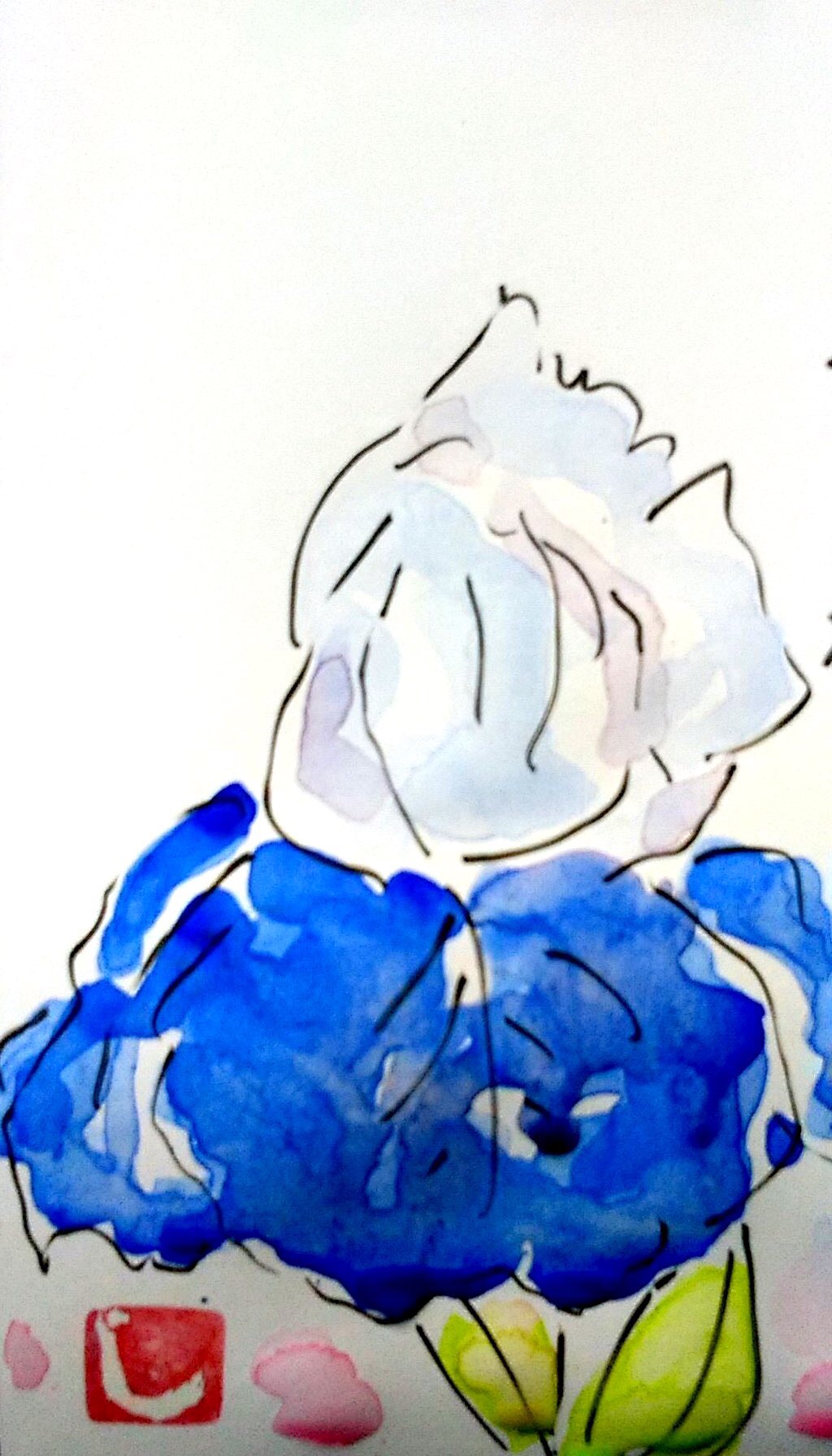 青いジャーマンアイリスの花