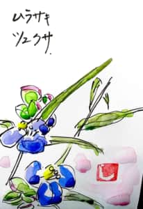 ムラサキツユクサの花