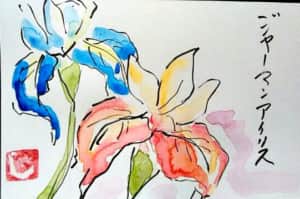 青と赤のジャーマンアイリスの花
