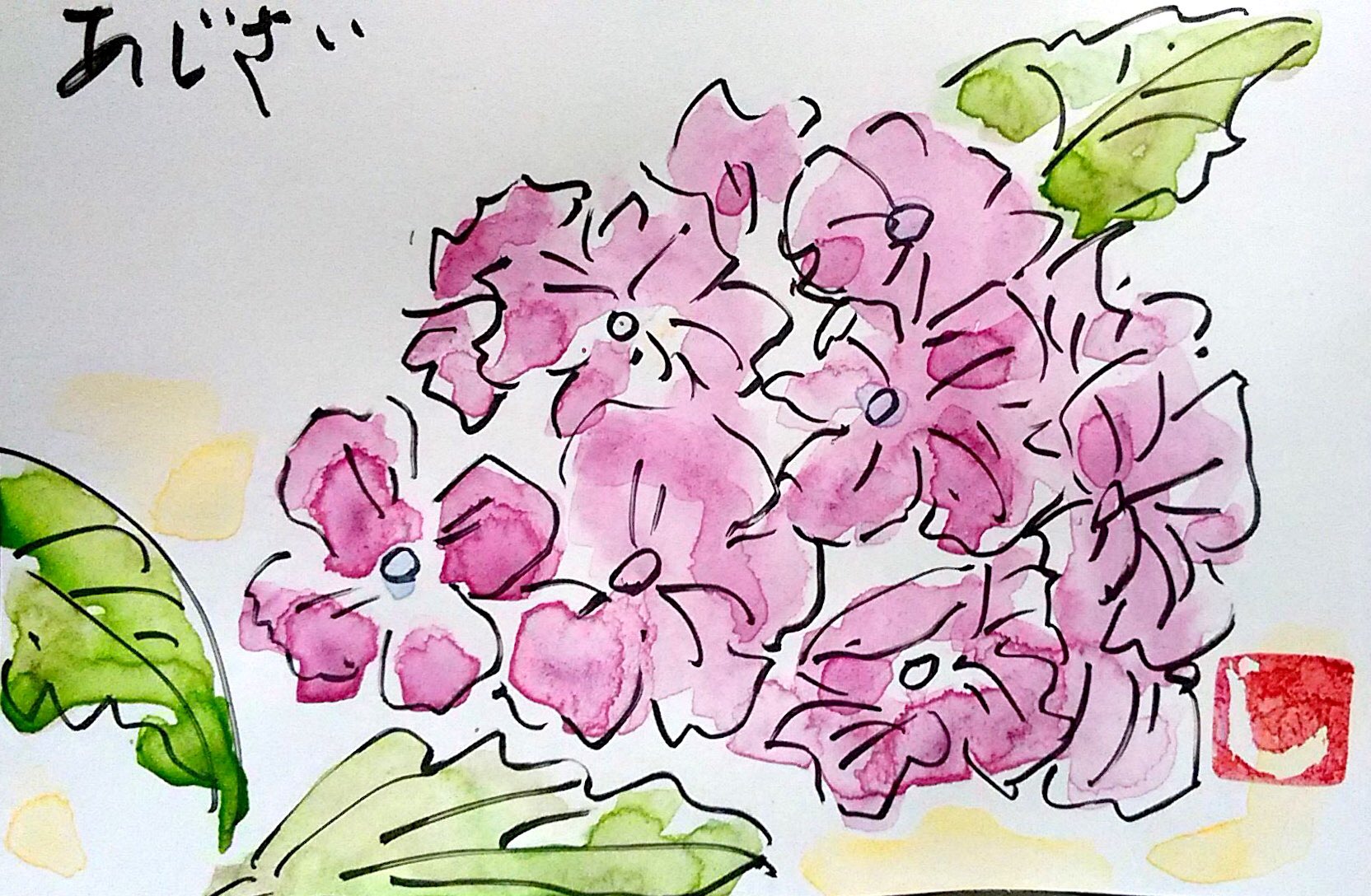 赤紫色の、あじさいの花