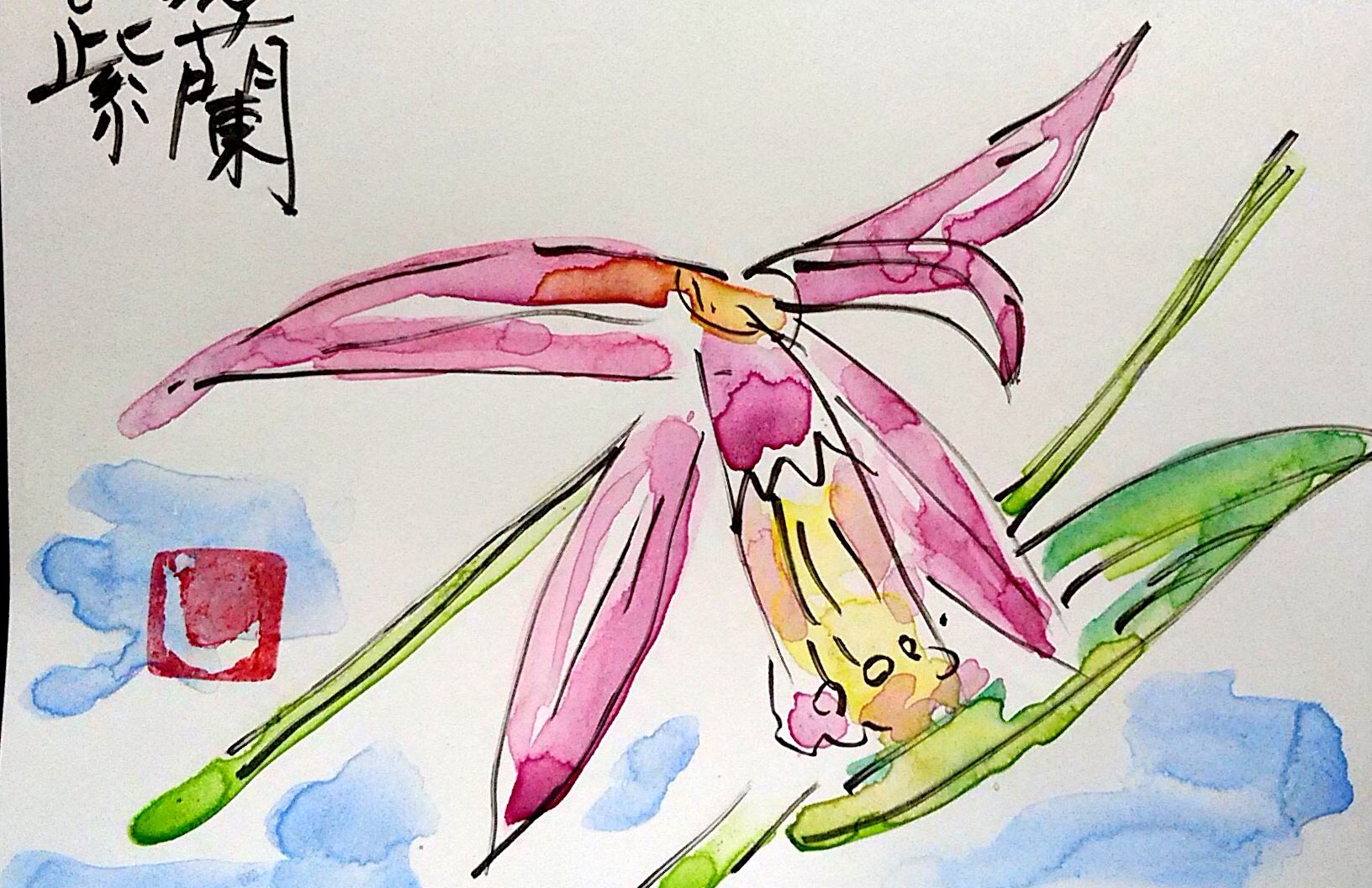紫蘭の花