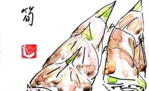 採れたての筍