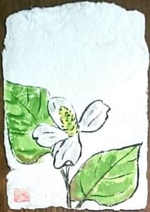どくだみの花の牛乳パック絵手紙