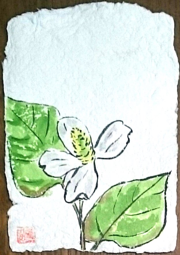 どくだみの花の牛乳パック絵手紙