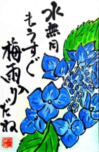 水無月 もうすぐ梅雨入りだね 〜紫陽花の花〜