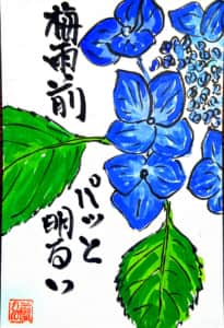 梅雨前 パッと明るい 紫陽花の花