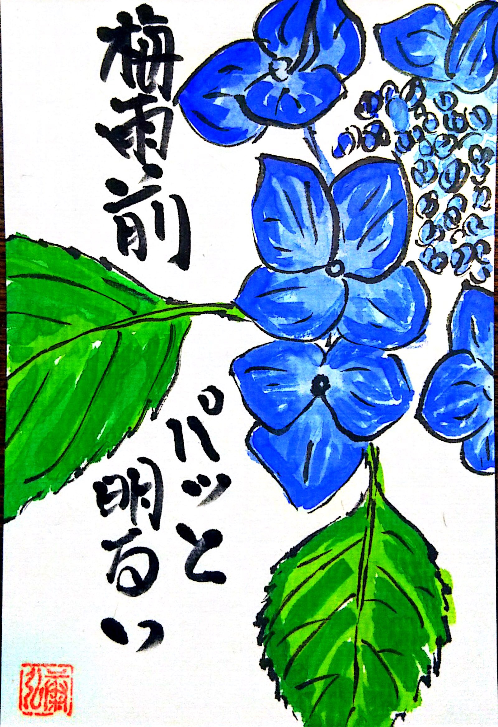 梅雨前 パッと明るい 紫陽花の花