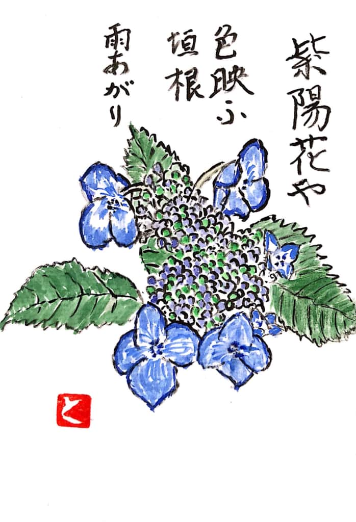 梅雨前 パッと明るい 紫陽花の花 絵手紙 交流ひろ - 無料 ...